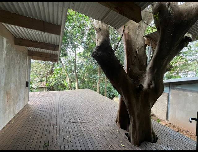 1 BEDROOM PROPERTY TO RENT IN MTUNZINI